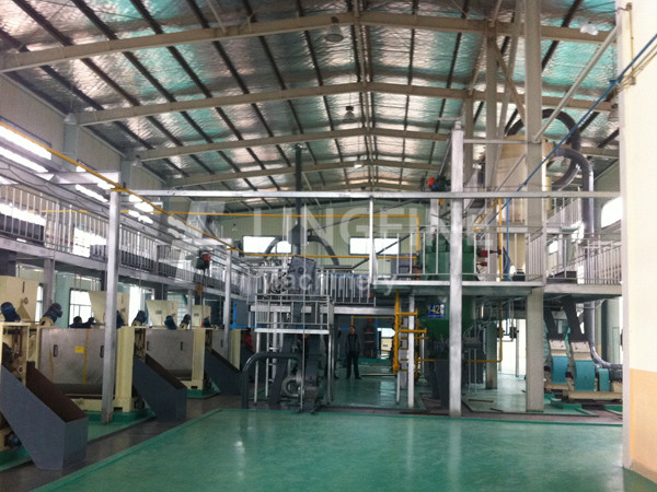 Puffing Process Technology and Equipment