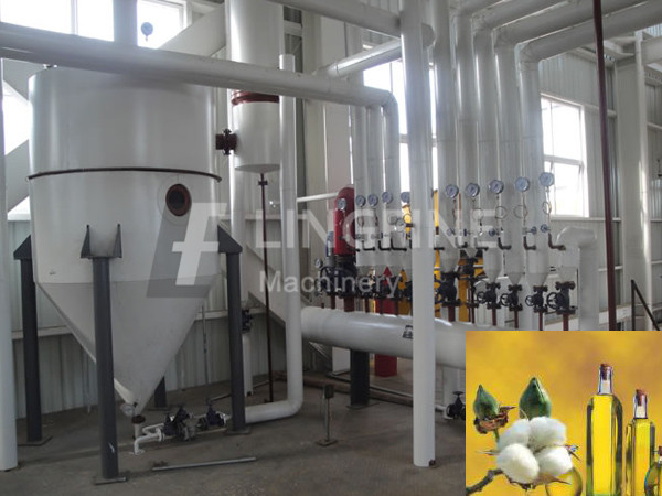 Cotton seed oil extraction plant machine