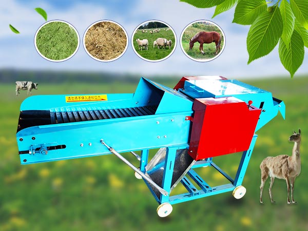 Agricultural chaff cutting machine